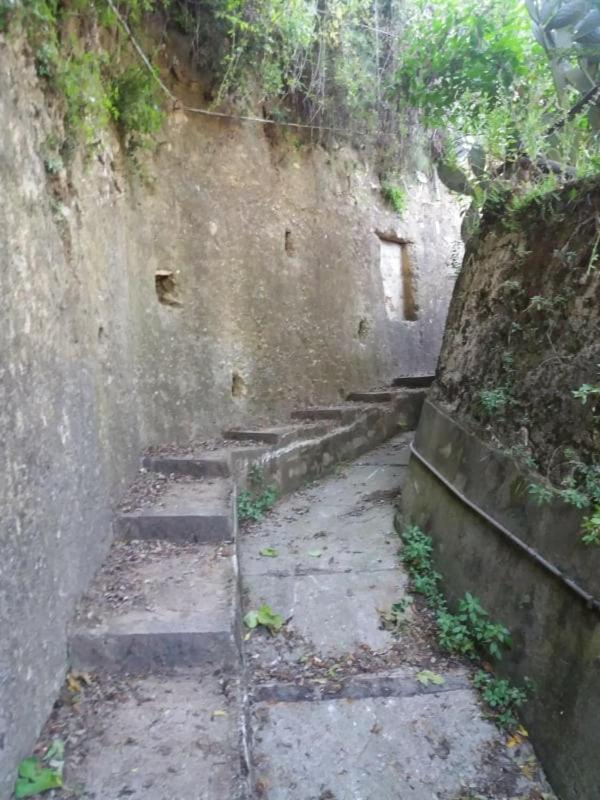 特拉蒙蒂Pietra Rosa住宿加早餐旅馆 外观 照片