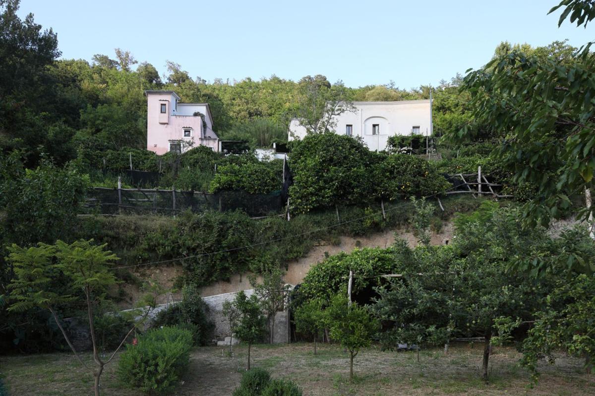 特拉蒙蒂Pietra Rosa住宿加早餐旅馆 外观 照片